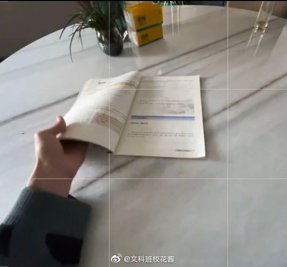 汪苏泷的脸摔肿了,汪苏泷脸肿成蜜蜂小狗