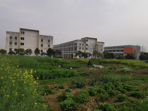 合肥多家高科技企业厂区变身驾校、菜园，是经营不善还是故意圈地转租？