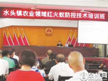 红火蚁的危害特点及防控方法,红火蚁入侵435个县市都是哪