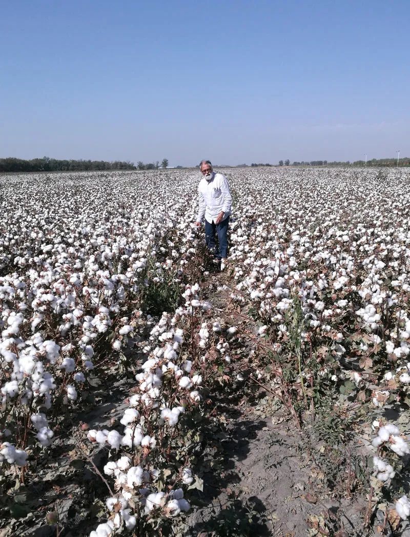 为何是中国外交官，而不是学者媒体站在反击西方第一线？