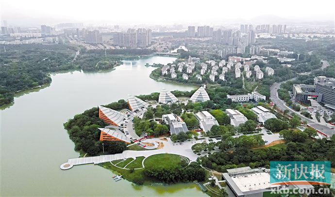 从太平手袋厂到松山湖看东莞从“制造”到“智造”