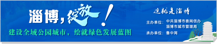 山东淄博张店区,山东淄博gdp