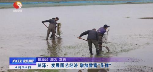 彭泽：发展园艺经济增加致富花样