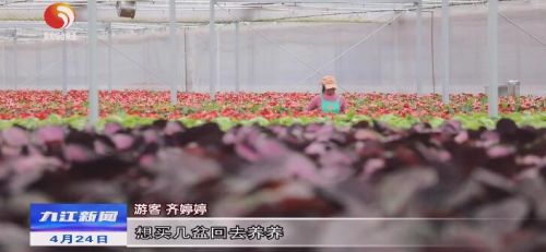 彭泽：发展园艺经济增加致富花样