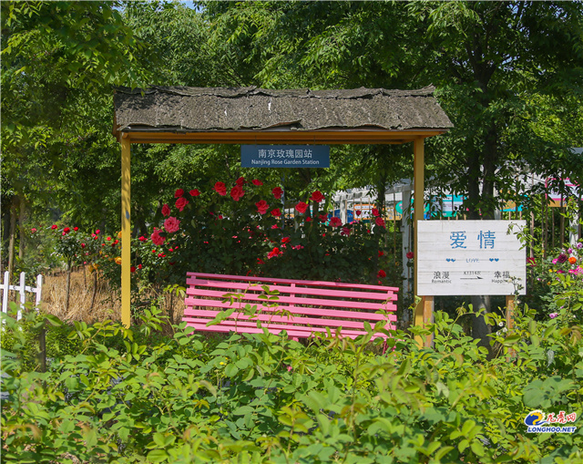 溧水一日游必去景点免费景点石湫,南京秋天溧水景点推荐