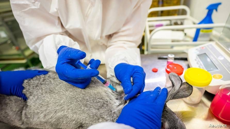 印度医院火灾12名新冠患者死亡,最新印度新冠疫情死亡人数