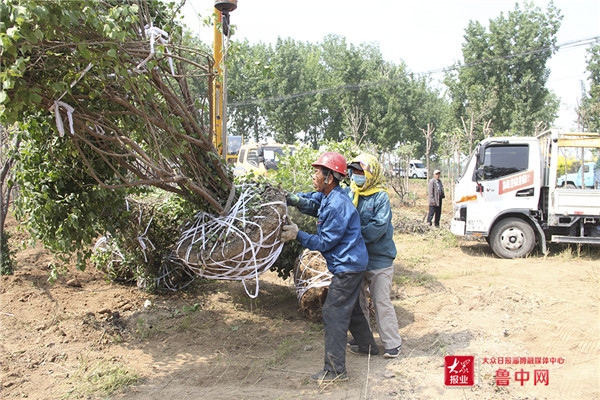 这就是山东,山东淄博怎么样
