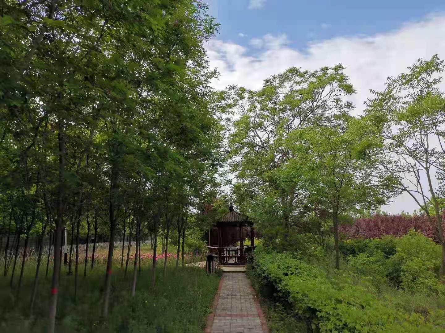 咸阳存留的古镇,咸阳人间仙境