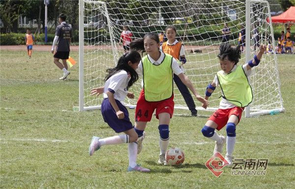 2021盘龙区小学生足球比赛,2021年龙岗区小学生足球比赛