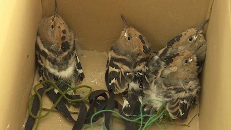 卫生间开门吊顶响声,卫生间吊顶有异响吓坏房主