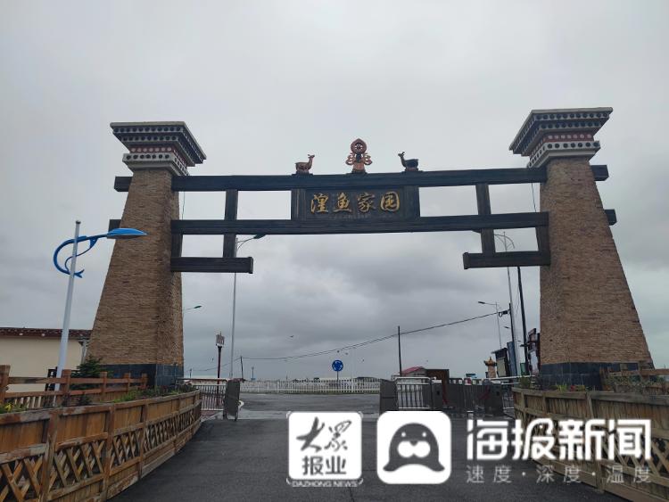 又见刚察｜这就是“聊城力量”！实拍沙柳河畔大美风光，再现“湟鱼洄游”奇景