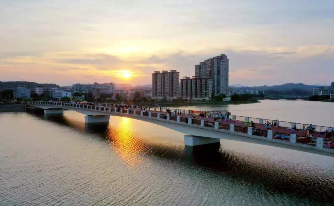 聚力产业振兴实现华丽蝶变,凝心聚力谋发展砥砺奋进创佳绩