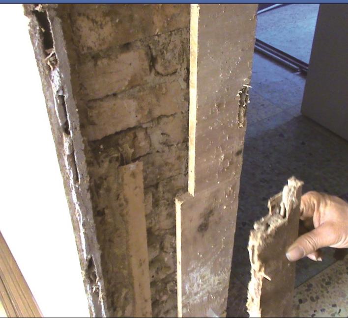 白蚁纷飞期怎么预防,白蚁常见的防治方法