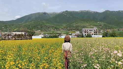 打卡阿坝,打卡川西甘孜小众秘境