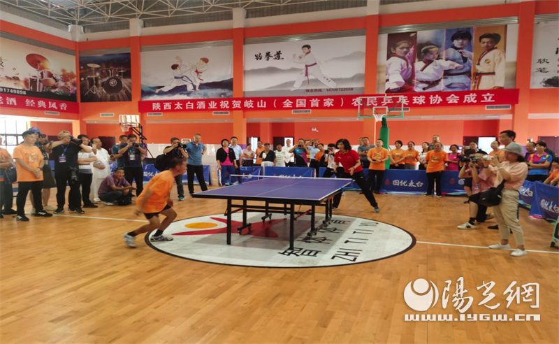 县乒乓球协会组织架构,宝鸡市乒乓球协会具体地址