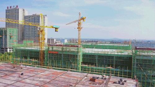 动图运动会,动图赛龙舟