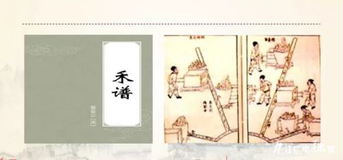 泰和被誉为乌鸡之乡,江西泰和乌鸡的故乡