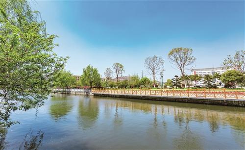 金清镇最新规划图,金清城市建设