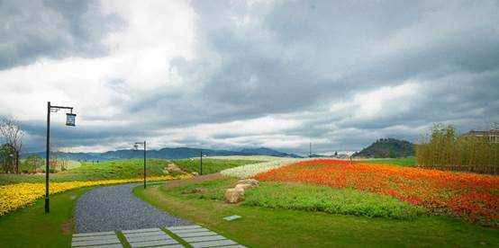 共绘乡村振兴美好画卷,共绘乡村振兴美丽画卷