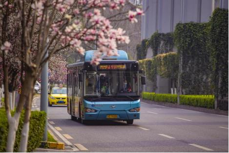 重庆市交通开投集团招聘,重庆交通开投集团下属单位