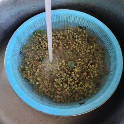 大量鲜花椒的保存方法视频,干花椒如何长期保存不变味