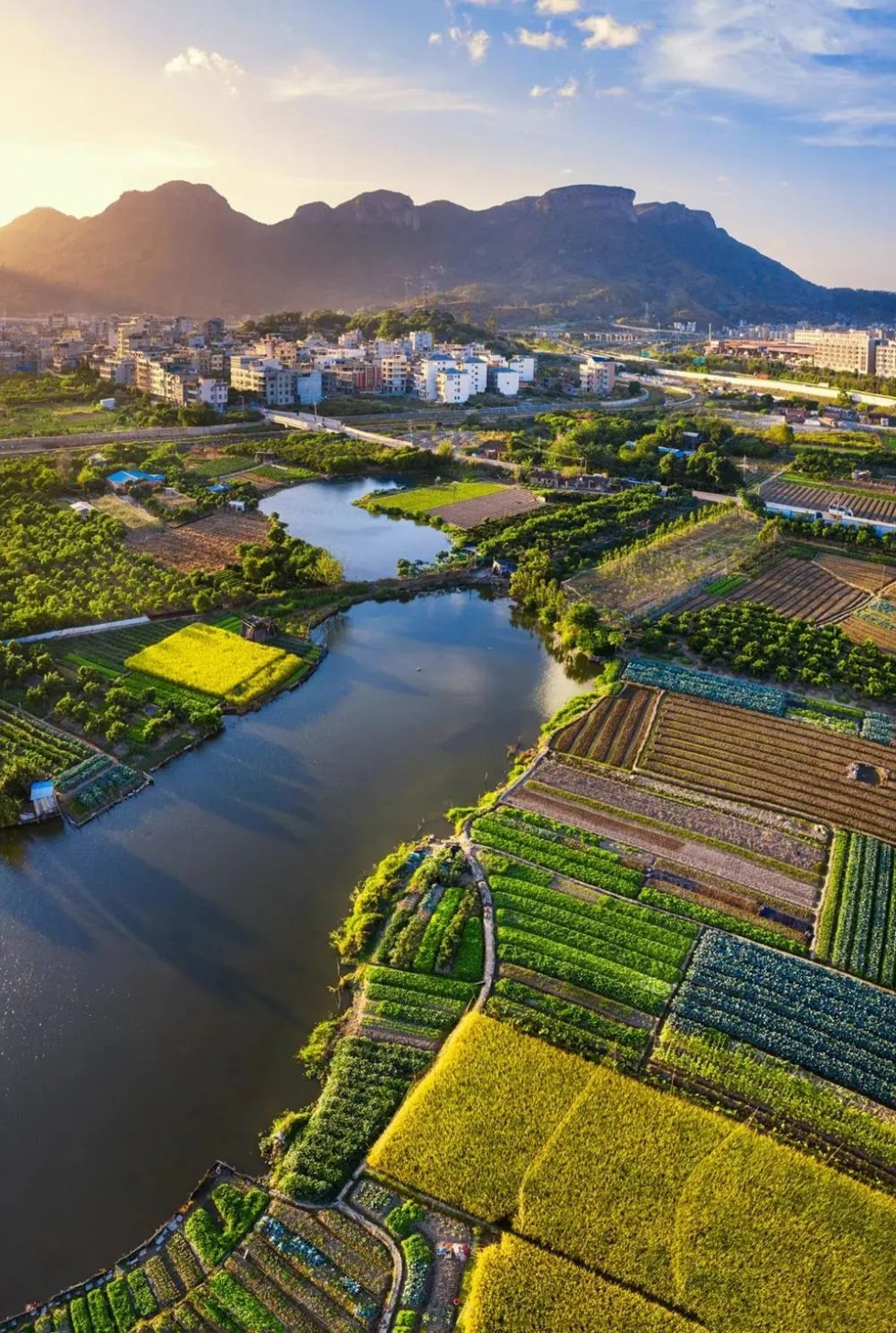 今日头条免费获得一元红包,今日头条领取100元红包