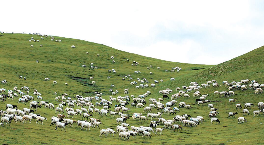 三江集团建设有限公司,三江集团简介