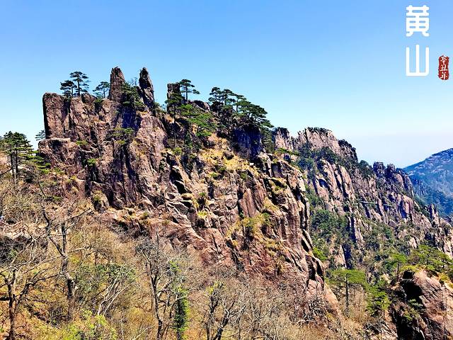 徽州的春天全集,黄山的春天风景