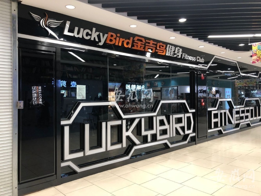 金吉鸟退费攻略,金吉鸟健身有多少家门店