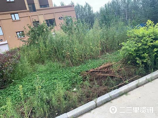 松原绿色家园小区好吗,绿色家园松原