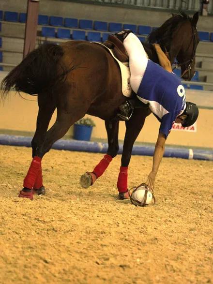 马术运动中国,中国马术运动