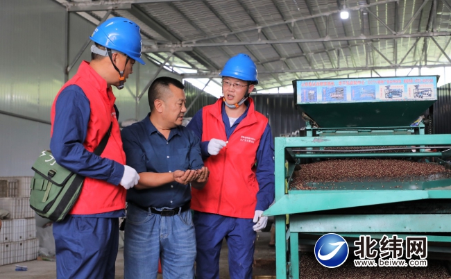 花椒产业促经济发展,花椒脱贫致富项目
