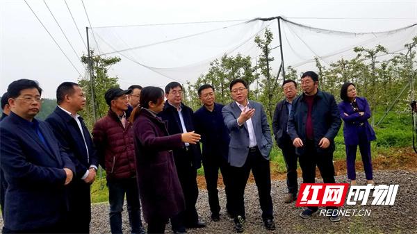 桃源村发展,村企共建显成效齐头并进迎新年