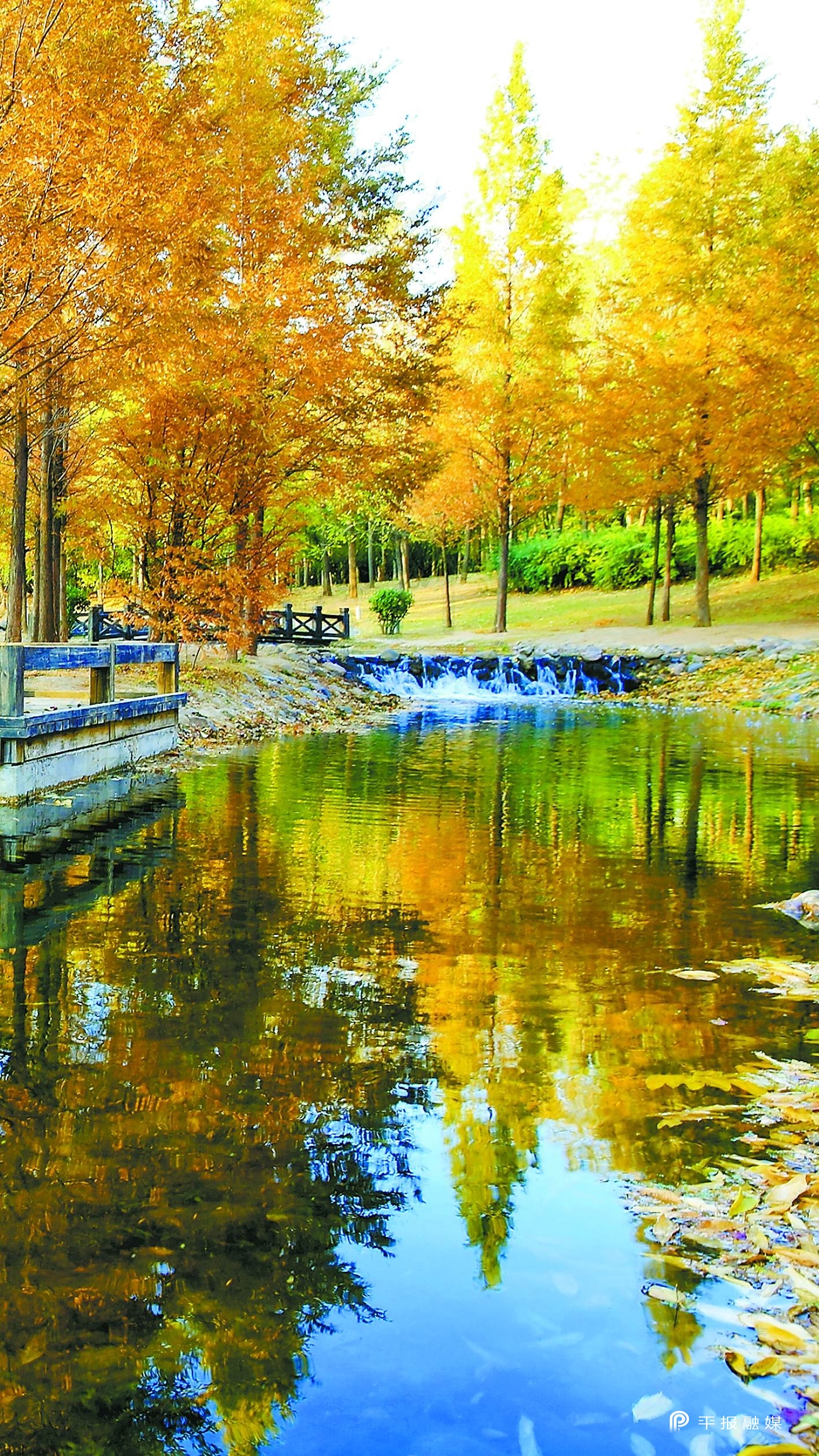 跨越——回望五年路喜迎*党**代会｜美丽示范区魅力幸福城