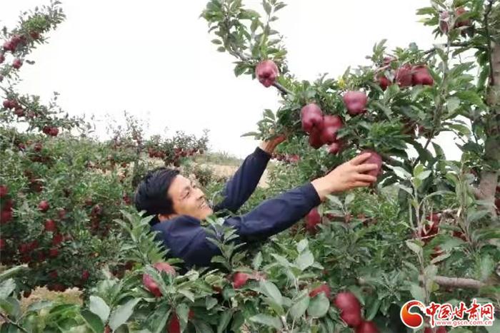 陇南礼县为什么叫秦皇故里,陇南礼县秦皇故里视频