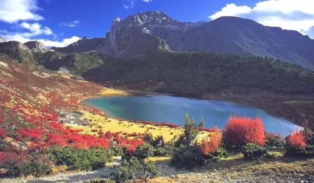 2020年10月3号雅康高速路况,雅康高速10月1号的路况