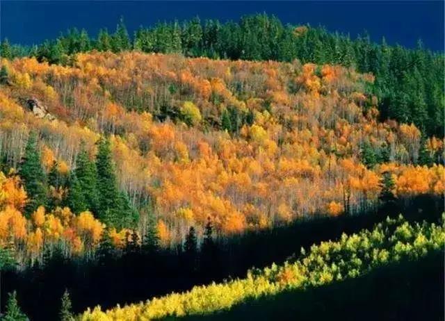 2020年10月3号雅康高速路况,雅康高速10月1号的路况