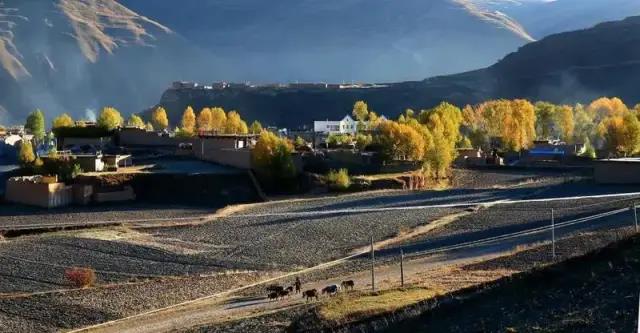 2020年10月3号雅康高速路况,雅康高速10月1号的路况