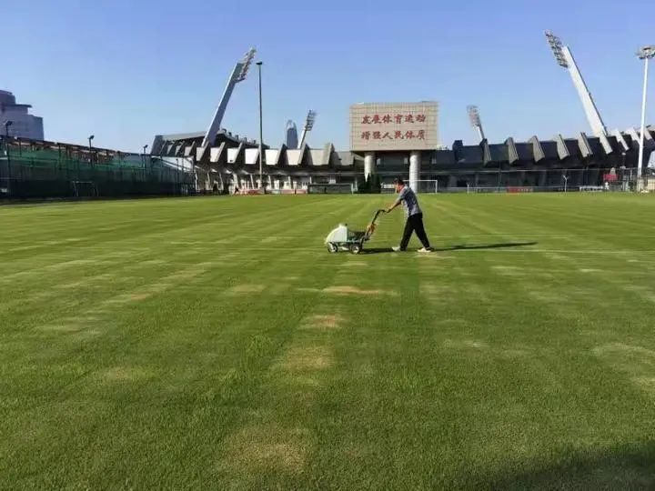 省体时隔9年再亮相,“圣体”展现新活力