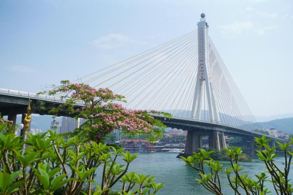 「百城79」景洪:无法拒绝的旅游胜地