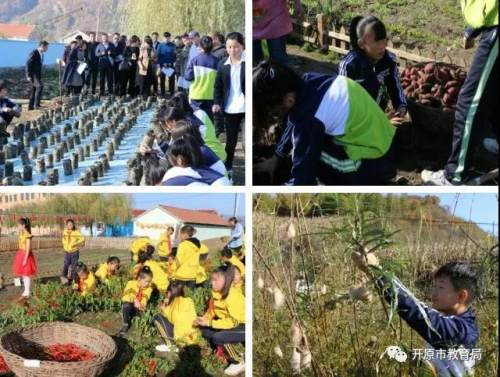 劳动教育课程构建与实施,劳动教育课程建设与实施