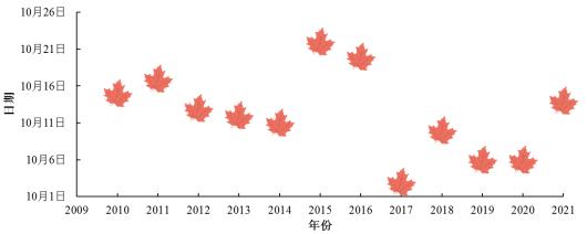 秋意浓枫叶红视频,看红叶赏秋景岛城秋意渐浓
