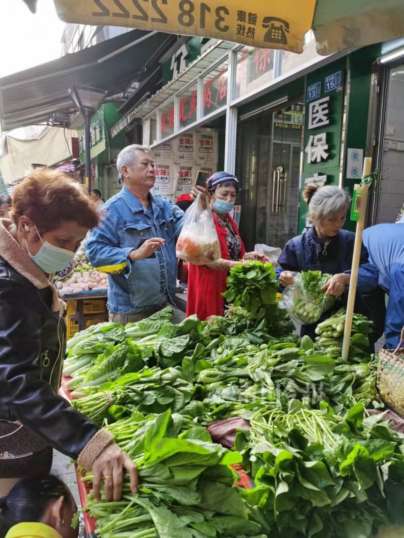 柳州现在什么青菜便宜,柳州青菜贵