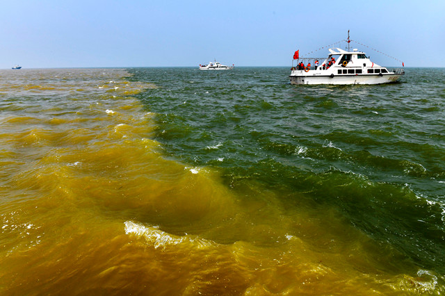 外眼看,护大河之洲引百鸟来栖