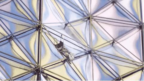 三宅一生特别版,三宅一生深度分析