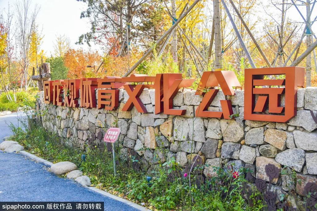 北京适合秋游的公园,北京周边适合小学生玩的主题公园