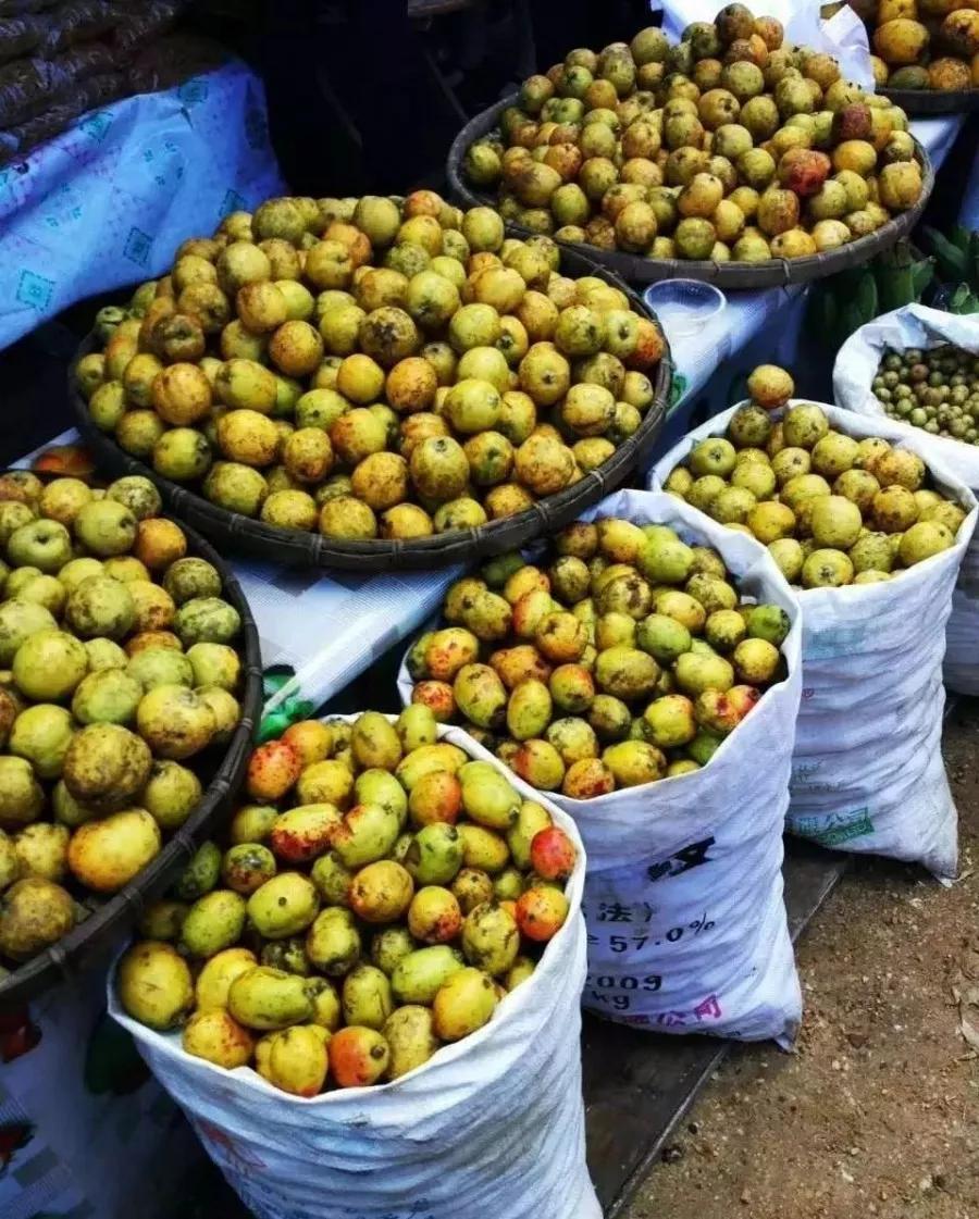 西双版纳奇葩食物,西双版纳有种水果就像桂圆一样