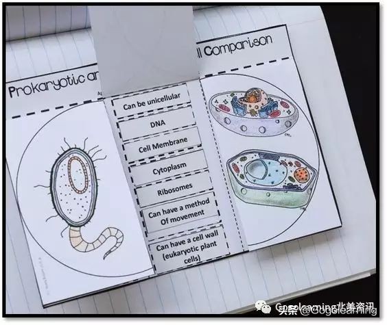 简单折叠立体书教程,手工折叠书教程简单