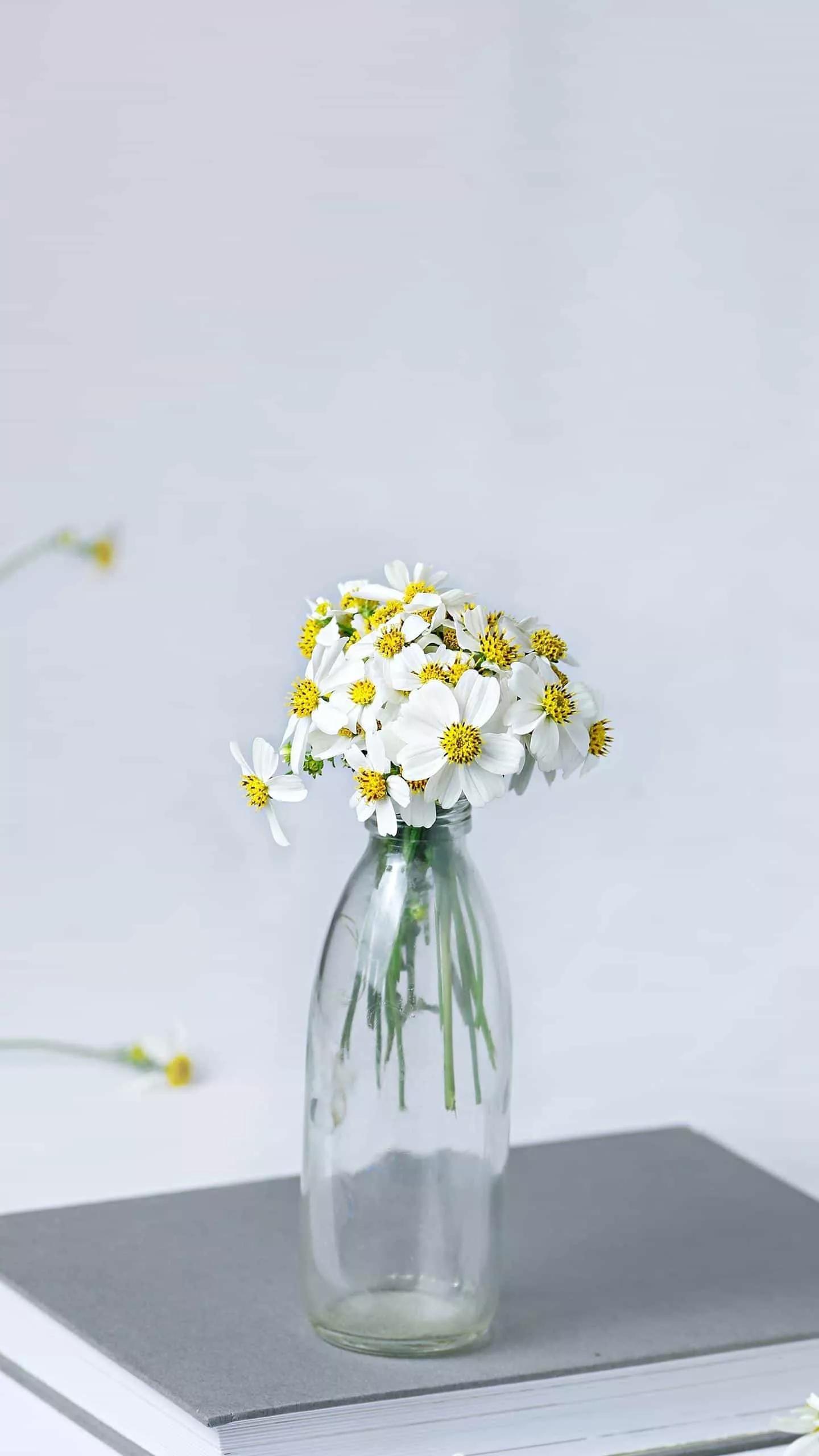 健康又快速减肥食谱,快速健康减肥一日三餐