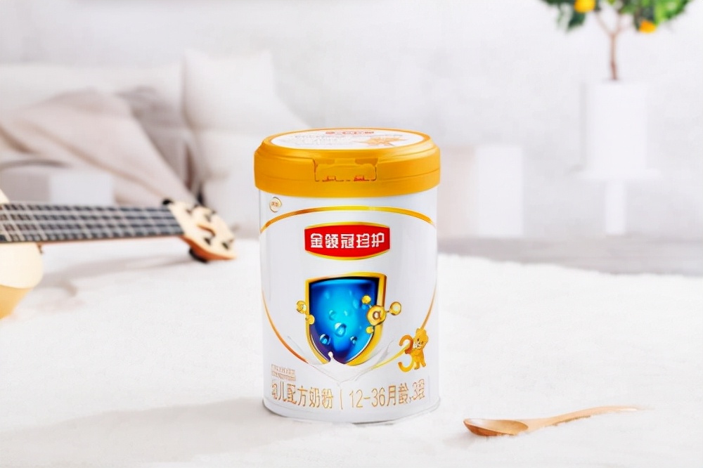 第二段奶粉推荐排名,排名前十名的奶粉里哪款比较好啊